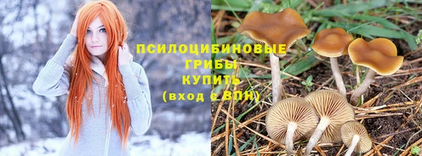 кокс Армянск