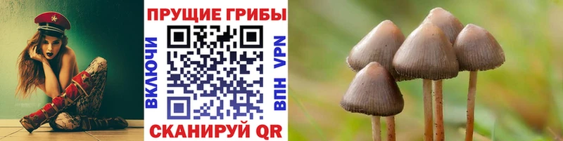 Галлюциногенные грибы прущие грибы дарк нет Telegram Новый Уренгой продажа наркотиков